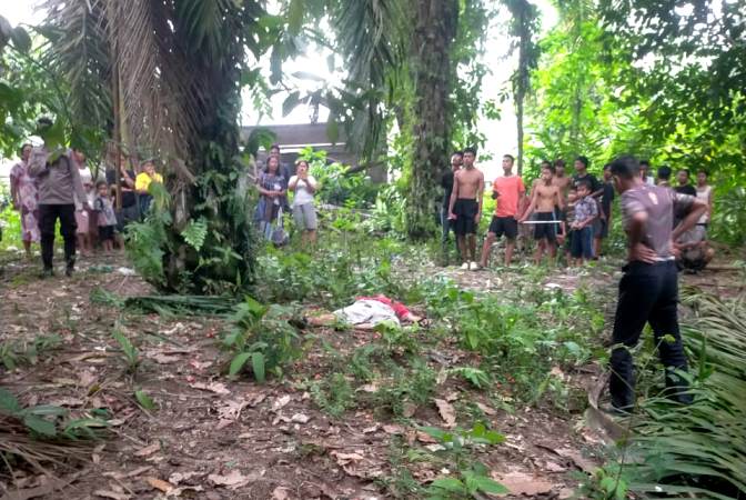 Warga Durian Banggal Meninggal Tertimpa Sawit yang Dipanen