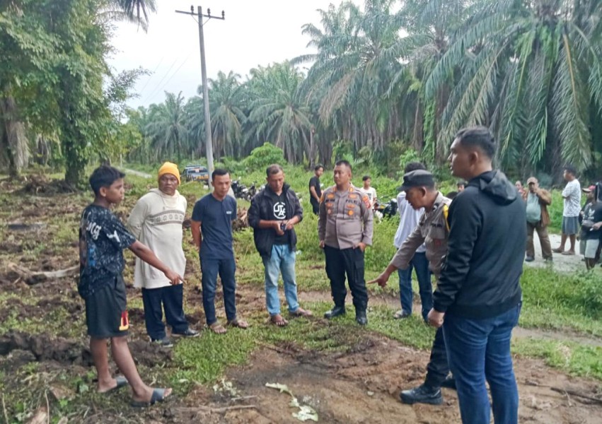 Diduga Tersengat Listrik, Lelaki Muda Meninggal di Kebun Sawit