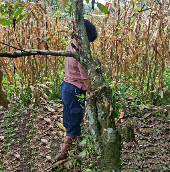 Perempuan Pemilik Surat Rehabilitasi Gantung Diri di Ladang Coklat