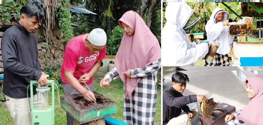 Pesantren Terpadu Al-Aqso Bunga Bondar Sipirok Belajar Budi Daya Lebah Madu  di Flora Nauli Siantar